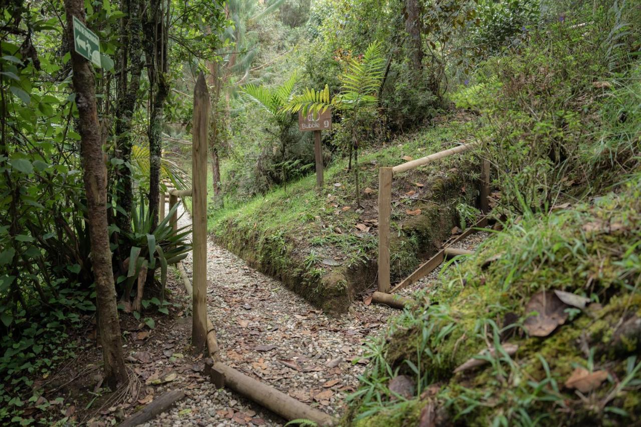 Hotel Bubblesky Glamping 40 Min From Medellin El Retiro  Exteriér fotografie