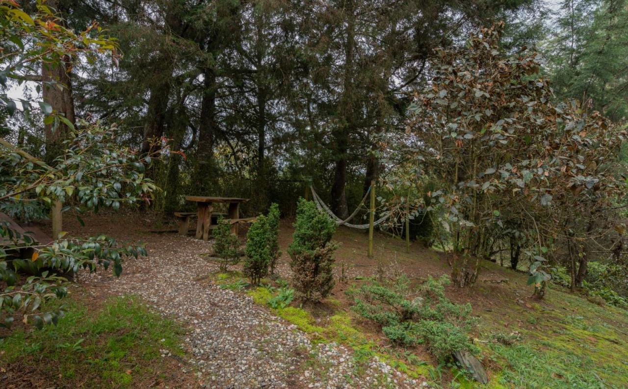 Hotel Bubblesky Glamping 40 Min From Medellin El Retiro  Exteriér fotografie