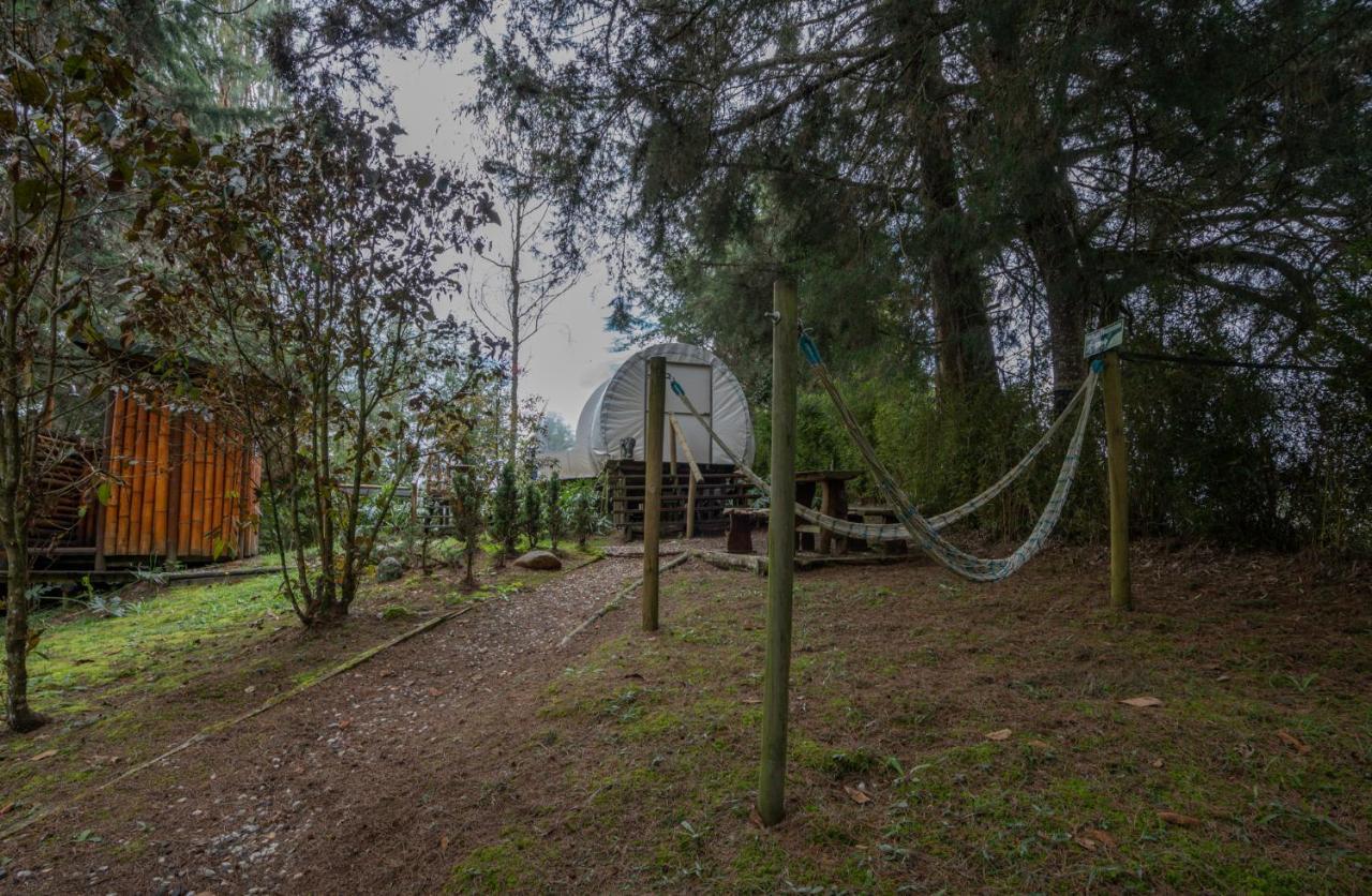Hotel Bubblesky Glamping 40 Min From Medellin El Retiro  Exteriér fotografie